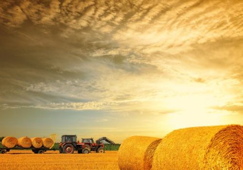 Tractor,Collecting,Straw,Bales